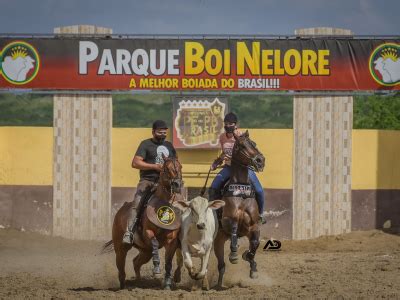 Cada dia é um show aqui no Parque Boi Nelore. A fase ainda é .